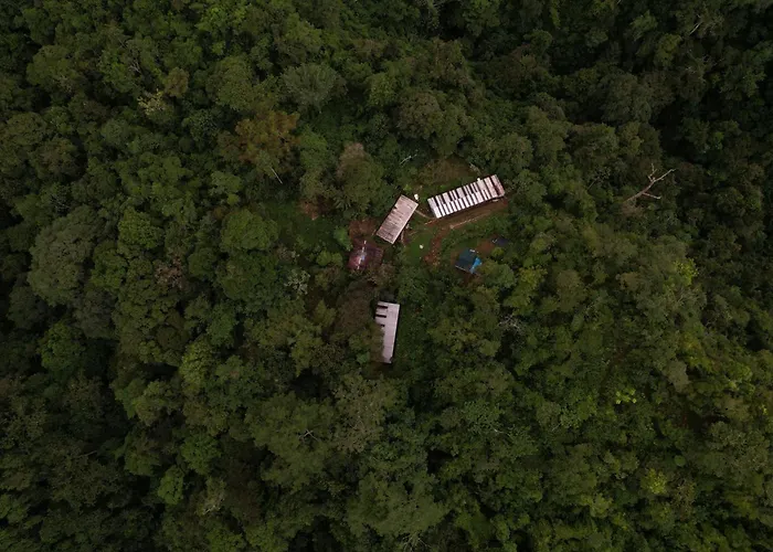 Bolita Rainforest Hostel&Cabinas
