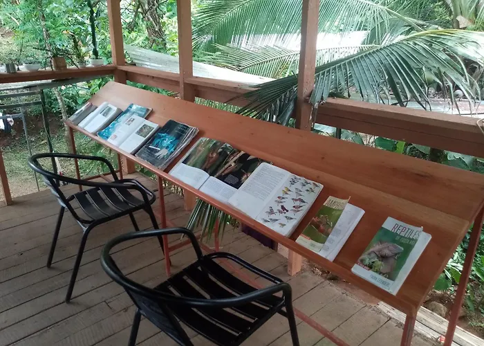 Bolita Rainforest Hostel&Cabinas