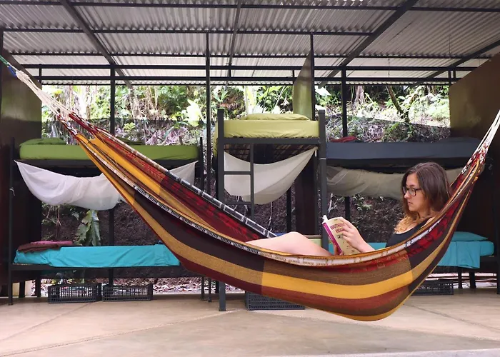 Bolita Rainforest Hostel&Cabinas