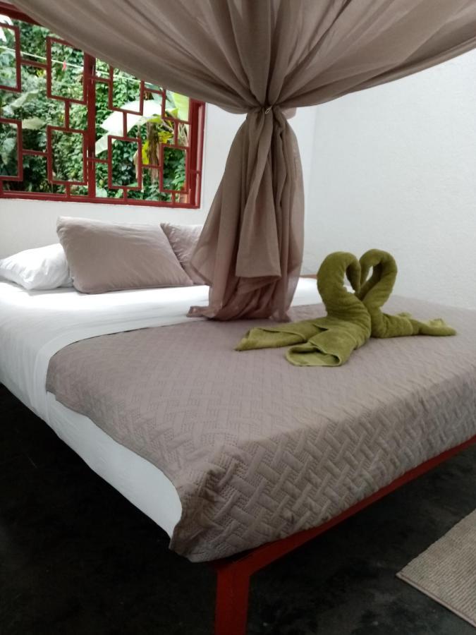 Bolita Rainforest Hostel&cabinas Hostal