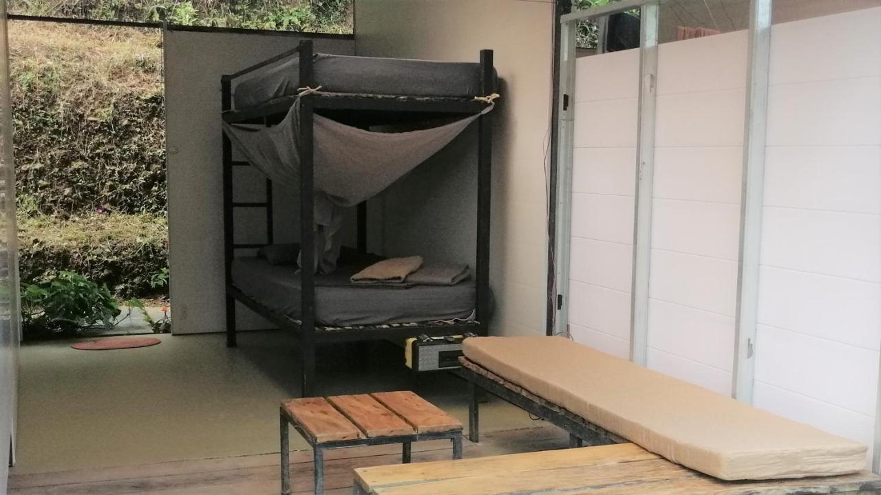 Hostal Bolita Rainforest Hostel&cabinas