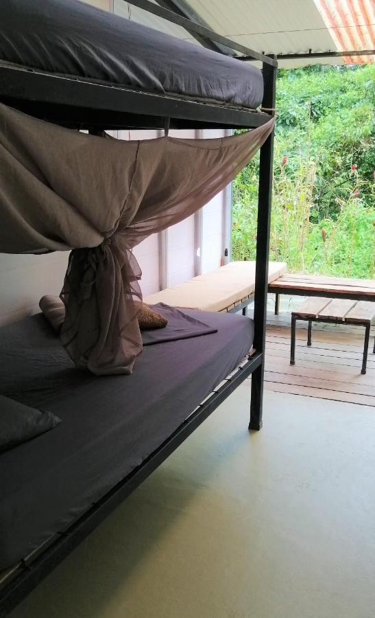 Bolita Rainforest Hostel&cabinas Hostal *