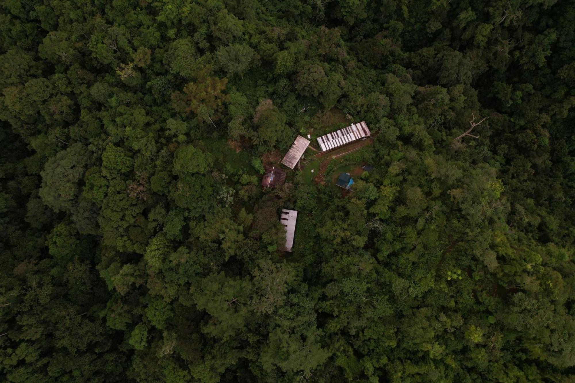 Bolita Rainforest Hostel&cabinas Hostal *