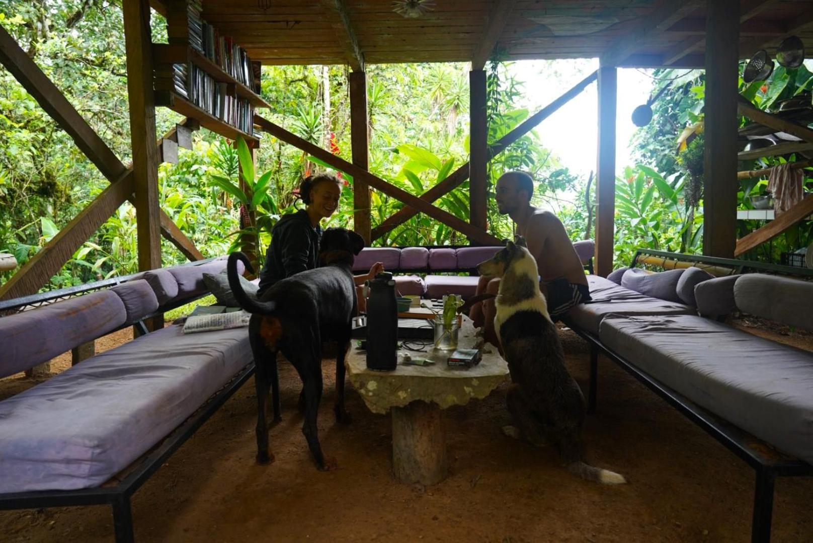 Hostal Bolita Rainforest Hostel&cabinas
