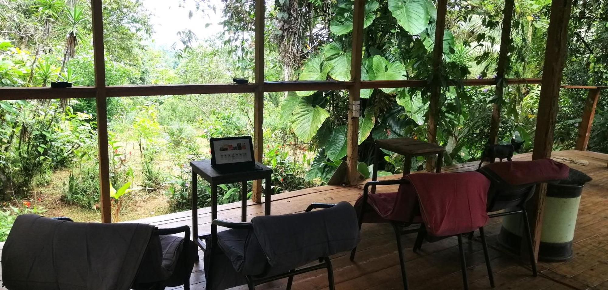 Bolita Rainforest Hostel&cabinas Hostal *