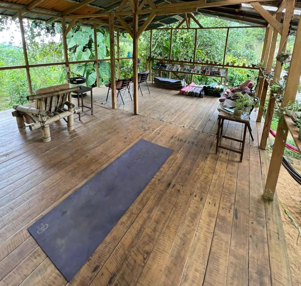 Bolita Rainforest Hostel&cabinas Hostal