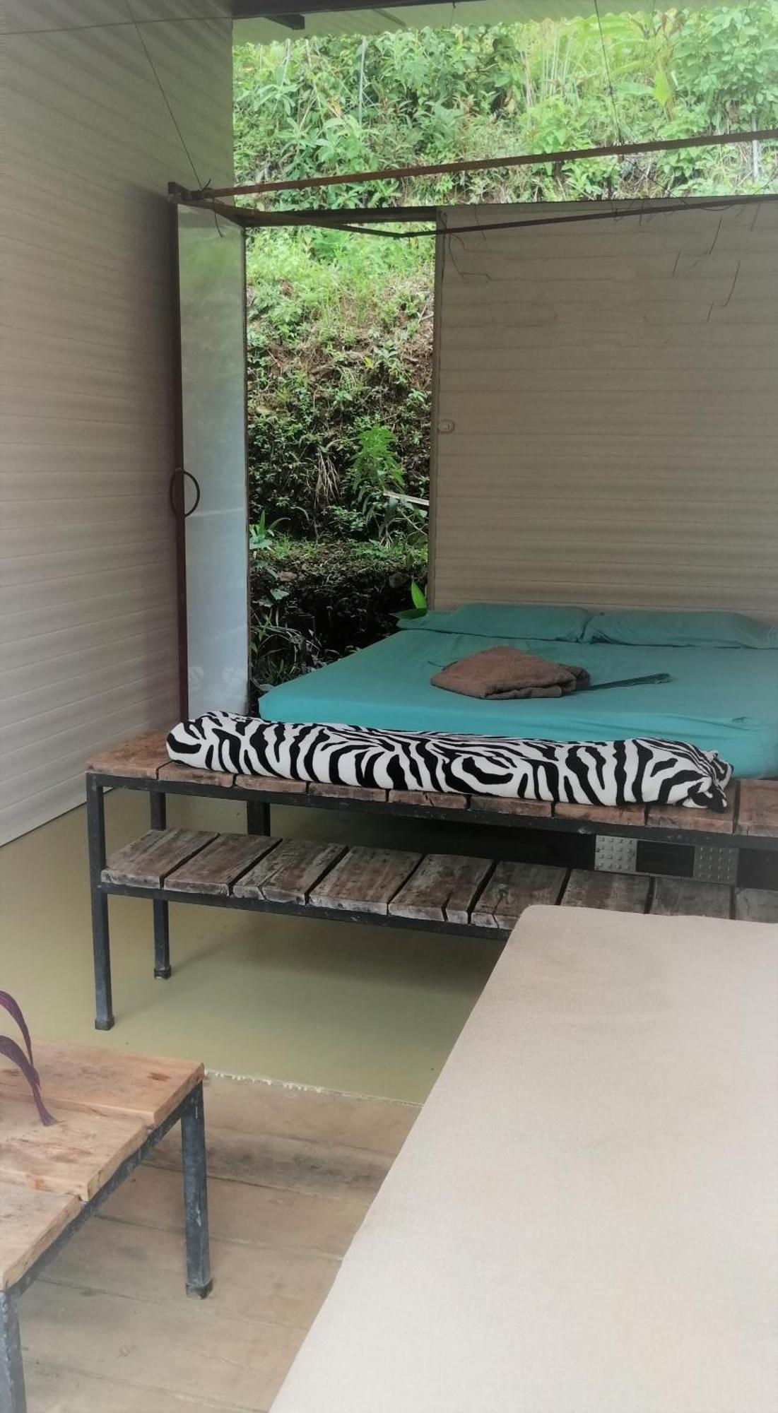 Hostal Bolita Rainforest Hostel&cabinas Dos Brazos