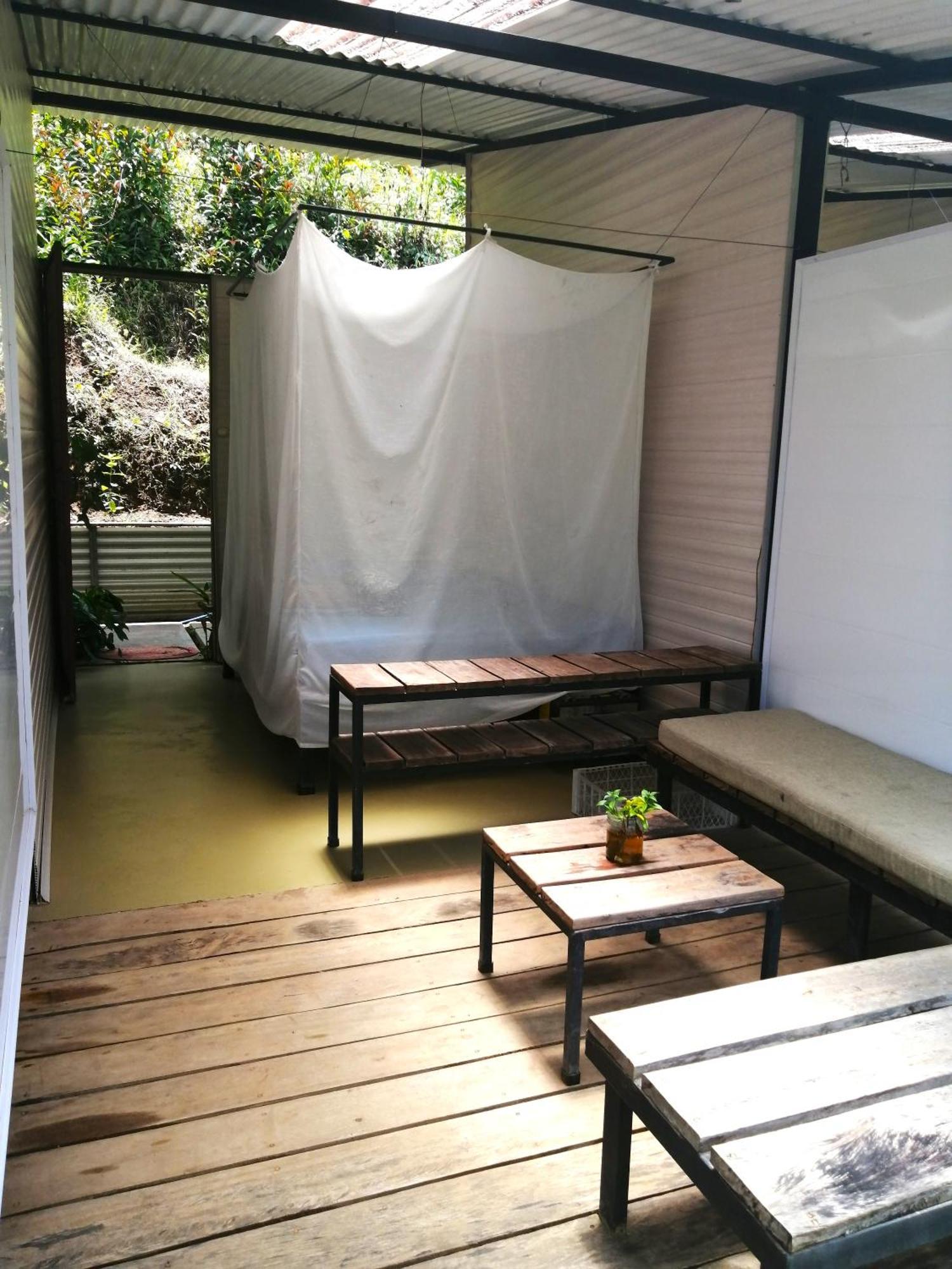 Hostal Bolita Rainforest Hostel&cabinas *