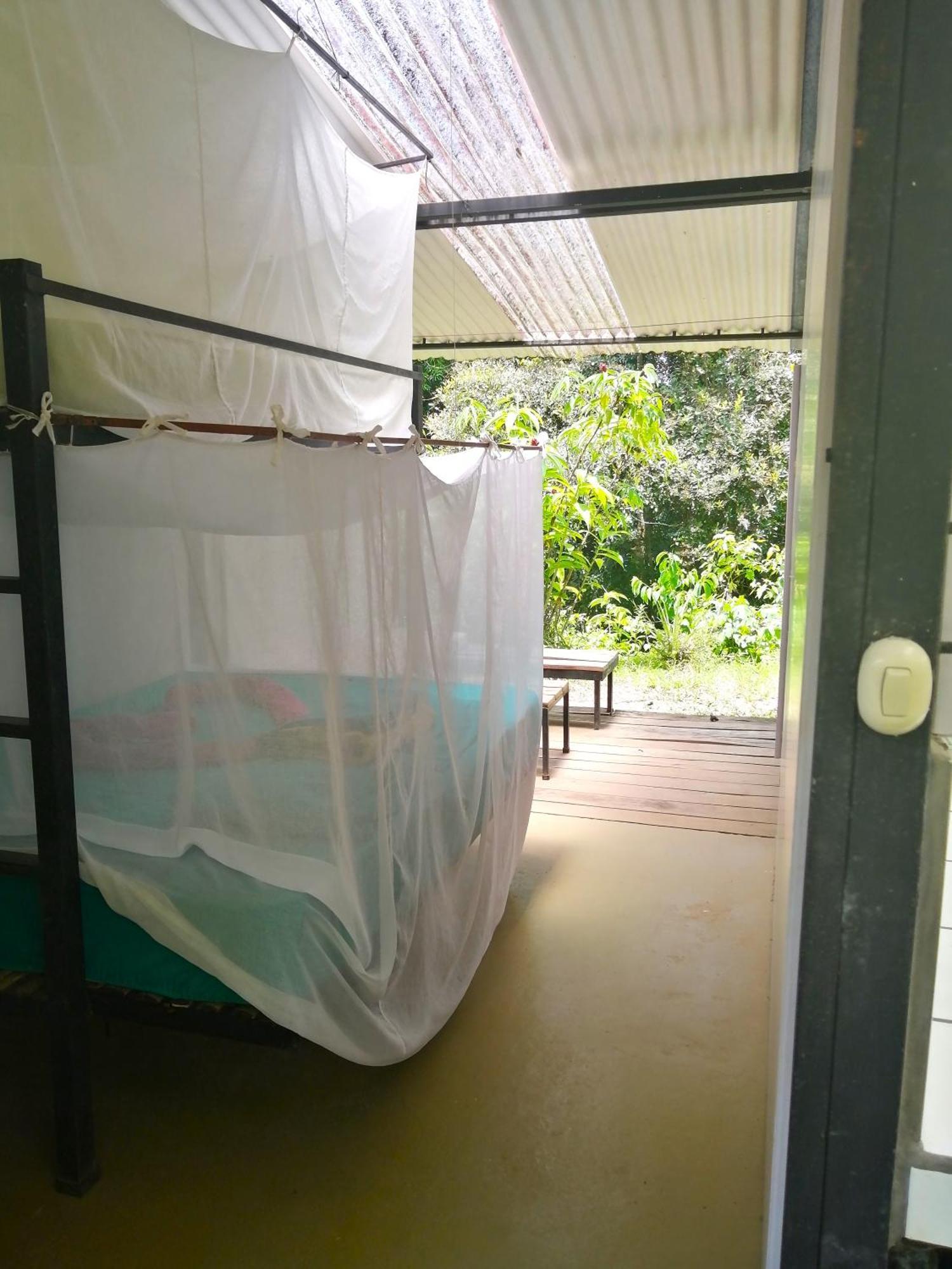 Bolita Rainforest Hostel&cabinas *