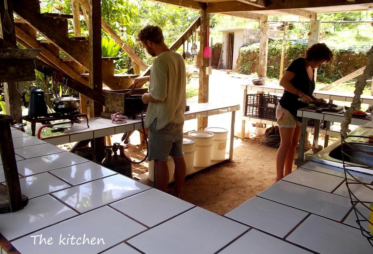 Hostal Bolita Rainforest Hostel&cabinas *