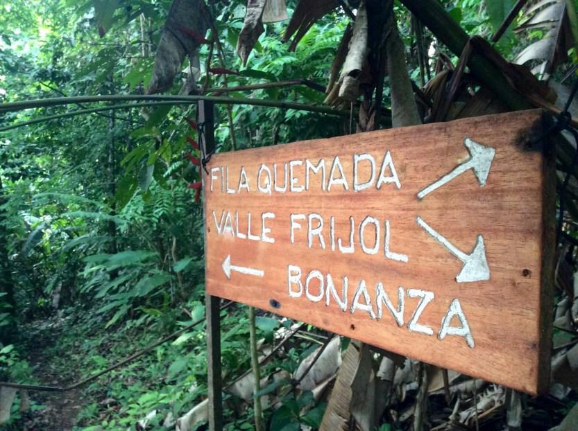 Hostal Bolita Rainforest Hostel&cabinas *