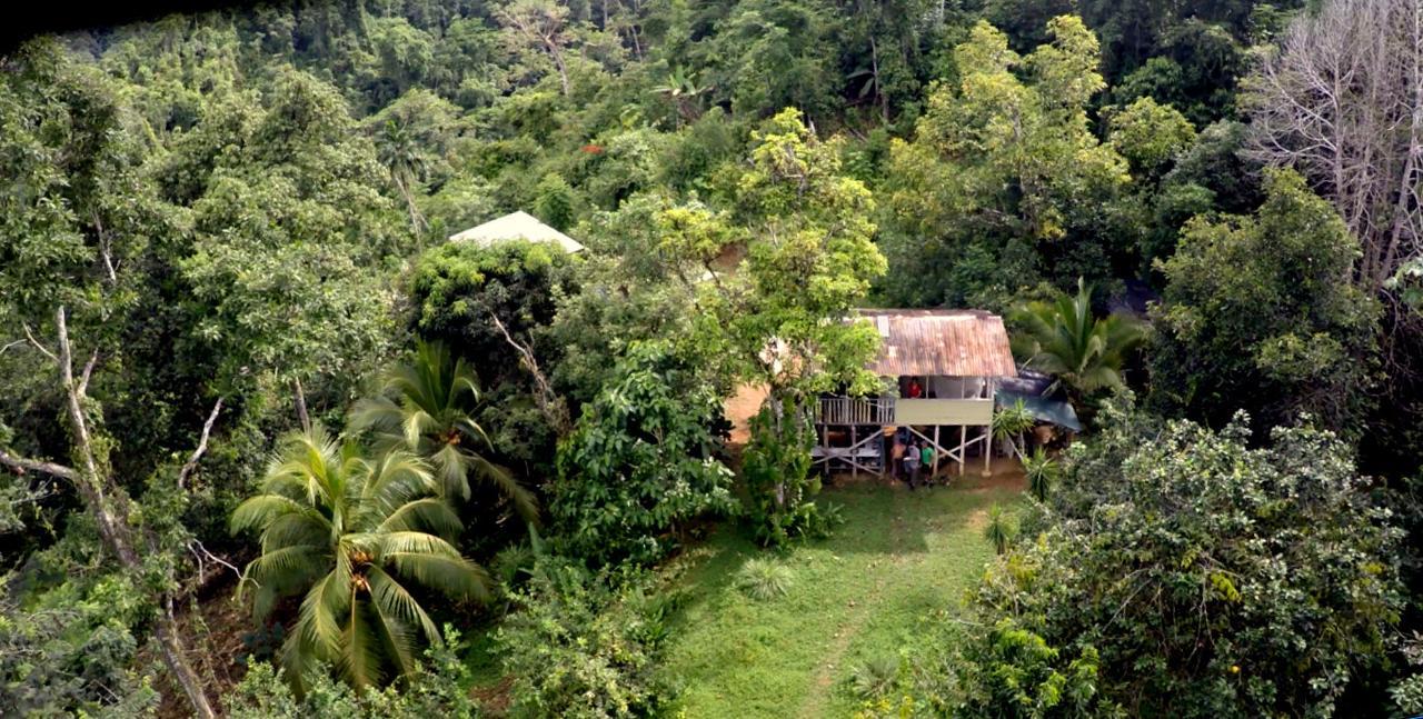 Bolita Rainforest Hostel&cabinas * Dos Brazos