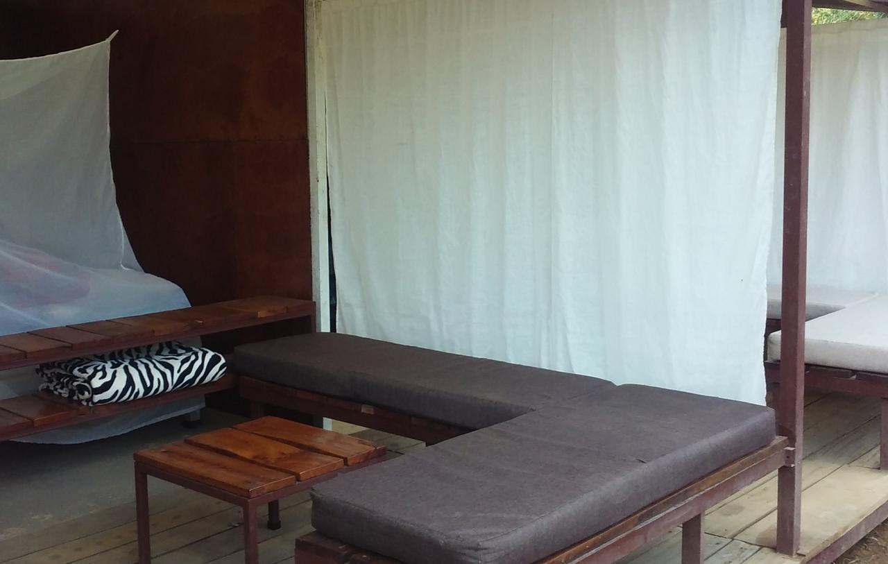 Hostal Bolita Rainforest Hostel&cabinas *