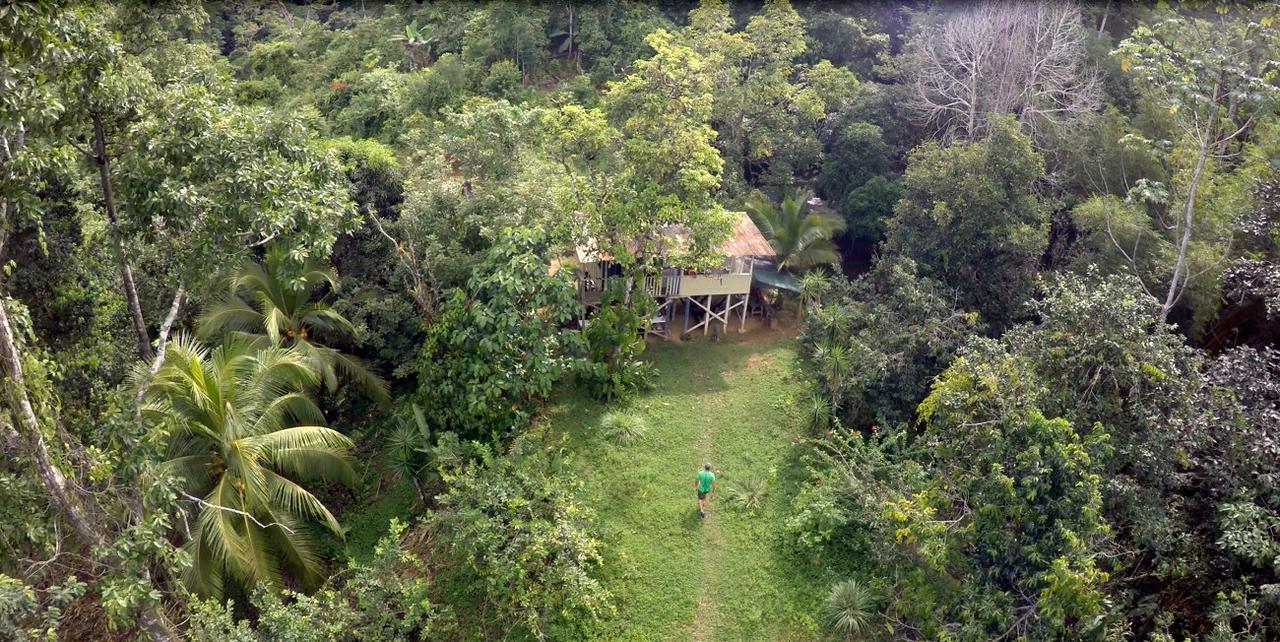 Bolita Rainforest Hostel&cabinas * Dos Brazos