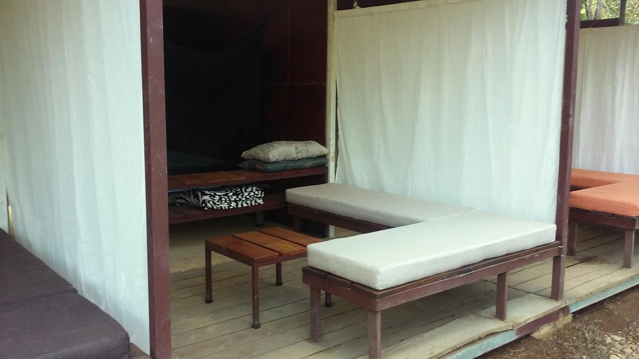 Hostal Bolita Rainforest Hostel&cabinas *