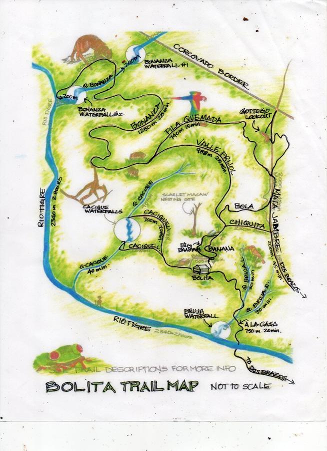 Bolita Rainforest Hostel&cabinas * Dos Brazos