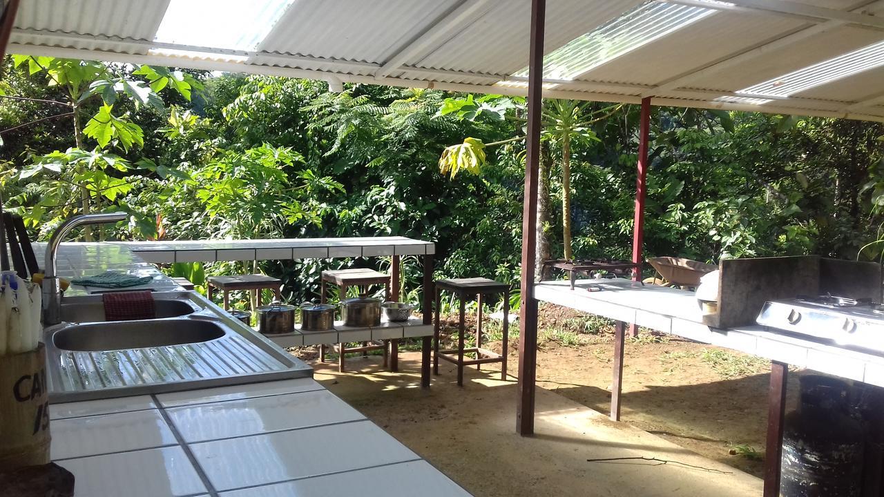 Hostal Bolita Rainforest Hostel&cabinas *