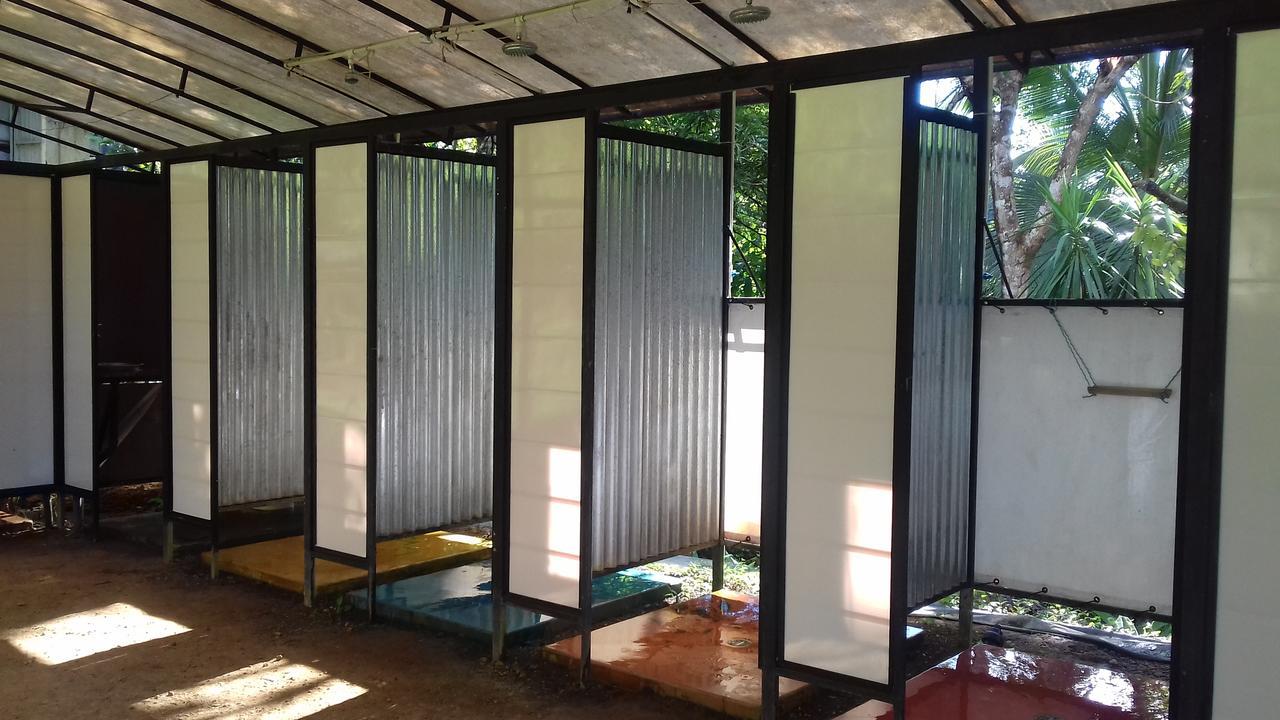 Hostal Bolita Rainforest Hostel&cabinas *