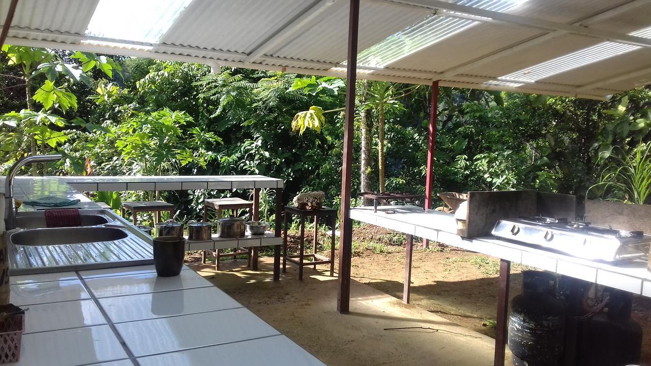 Bolita Rainforest Hostel&cabinas * Dos Brazos