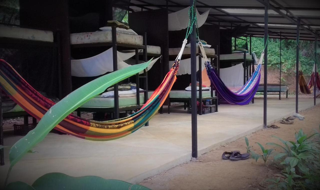Bolita Rainforest Hostel&cabinas Dos Brazos