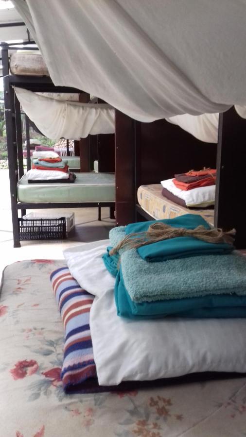 Bolita Rainforest Hostel&cabinas Hostal *