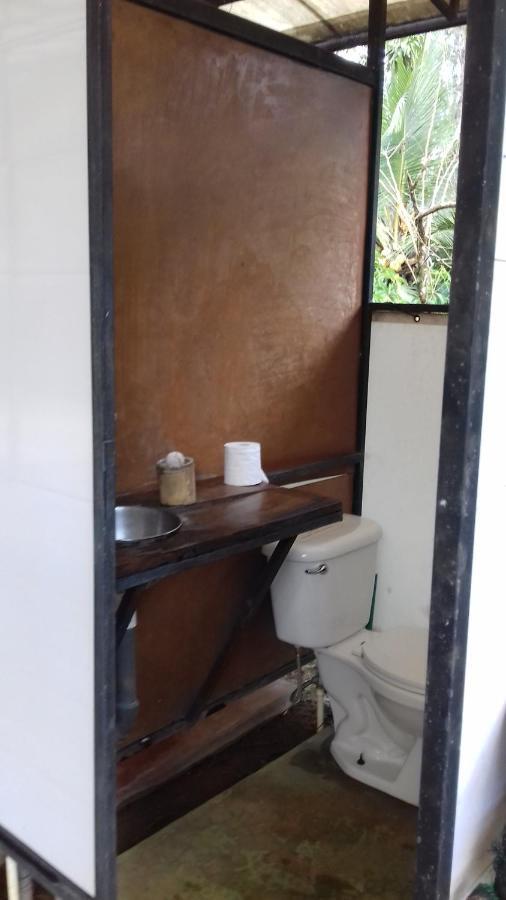 Bolita Rainforest Hostel&cabinas Hostal *