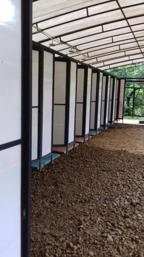 Bolita Rainforest Hostel&cabinas Hostal *