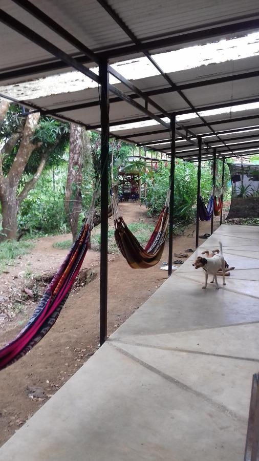 Bolita Rainforest Hostel&cabinas