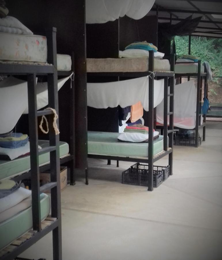 Hostal Bolita Rainforest Hostel&cabinas *