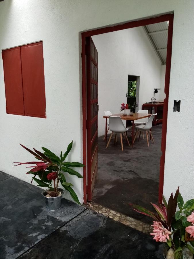 Bolita Rainforest Hostel&cabinas Hostal *