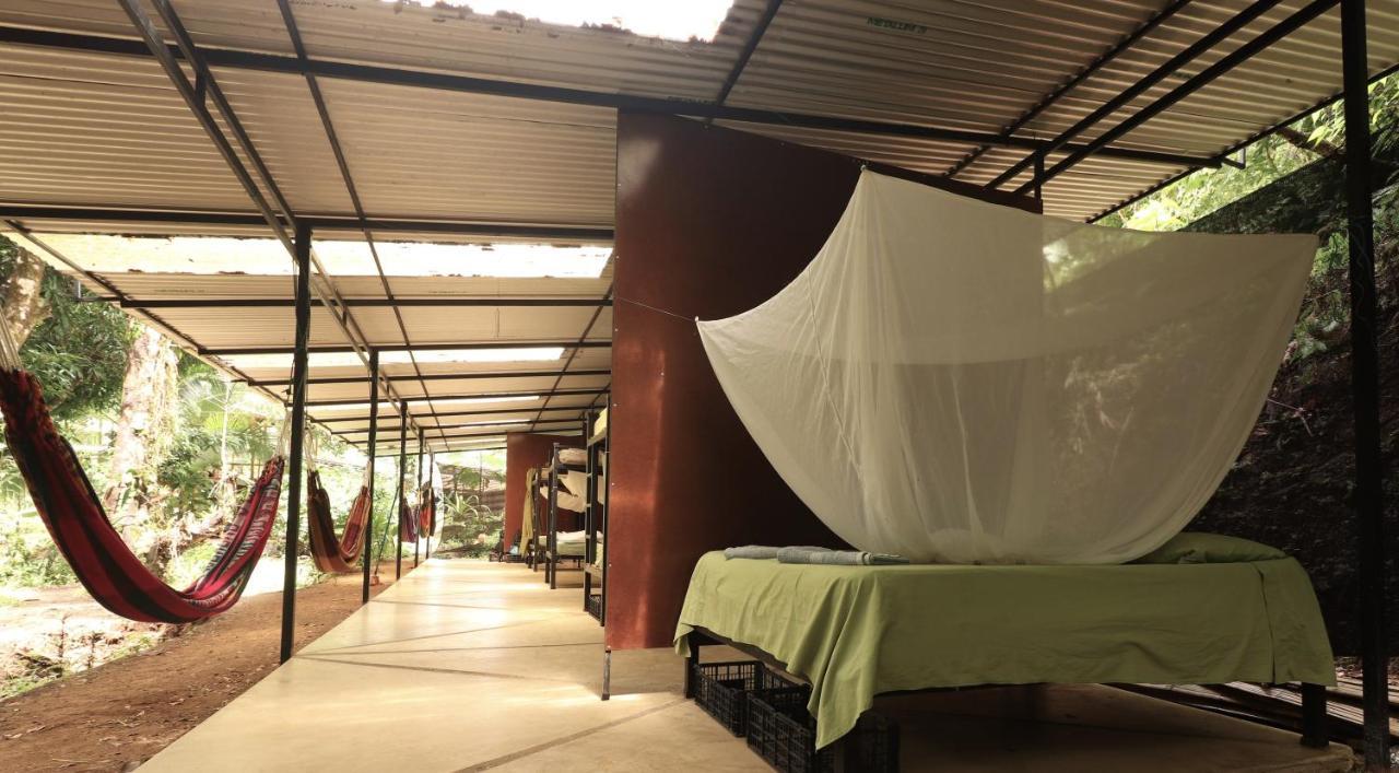 Bolita Rainforest Hostel&cabinas * Dos Brazos