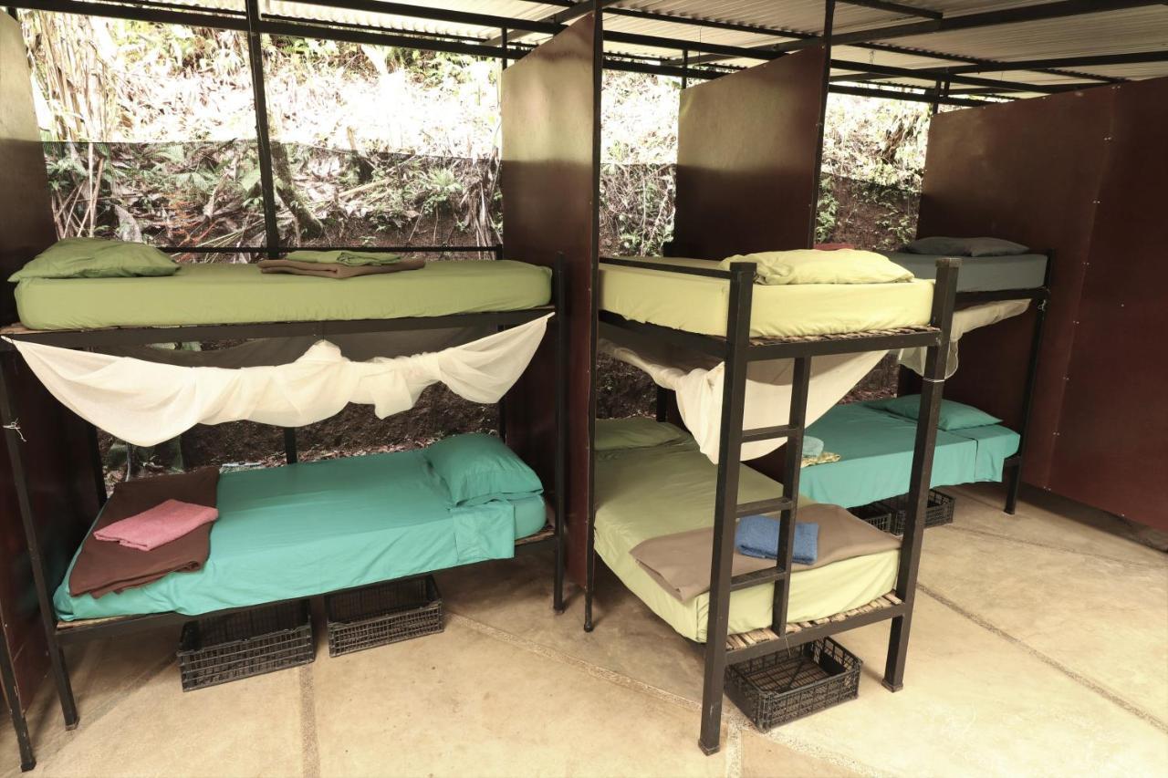 Hostal Bolita Rainforest Hostel&cabinas