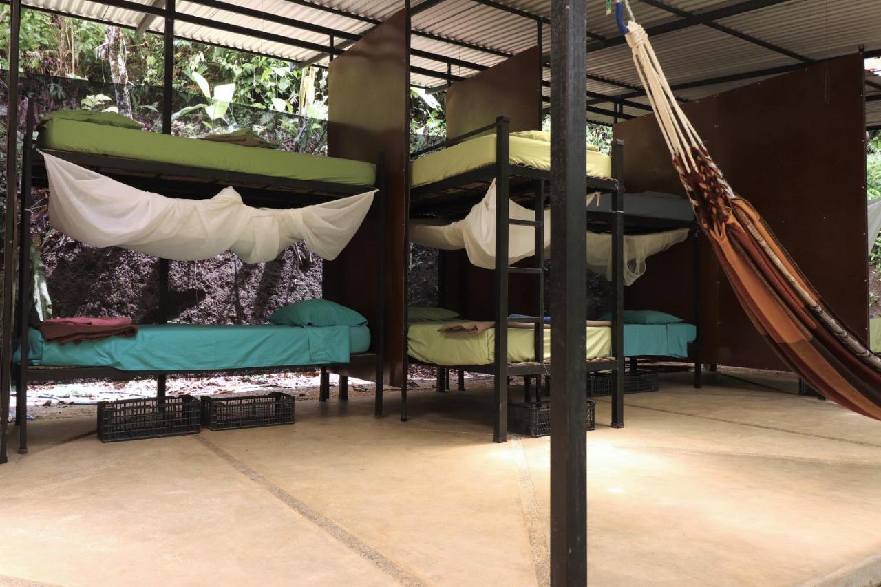 Hostal Bolita Rainforest Hostel&cabinas Dos Brazos